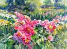 Peony Field Winter's Eve Watercolor by Mary Ann Heinzen